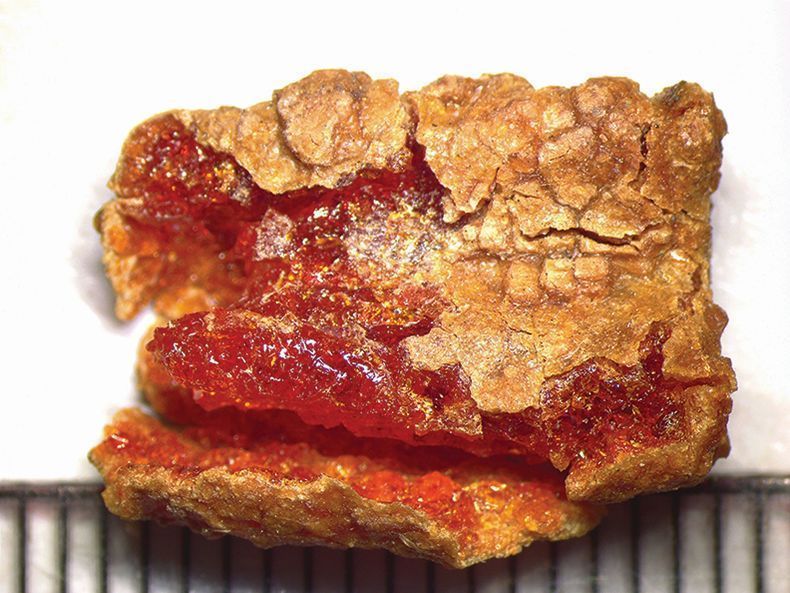 NEW Analysis of beads from Iron Age Hama, Syria finds they were produced using Baltic amber sourced over 3000km away, highlighting the city’s importance in ancient long-distance exchange networks and indicating a desire for ‘exotic’ goods in Mesopotamia. 
#AntiquityThread 1/14 🧵