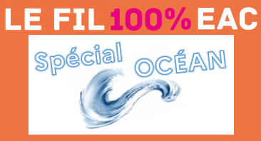 Le FIL 💯% #EAC n°39 - spécial Océan 🌊 est en ligne !  Un numéro consacré à la Mer avec :
🥼des articles scientifiques à lire ;
📚des ressources à consulter ; 
🖥️des dispositifs à découvrir.
Bonne lecture ! 
Lien : daac.ac-rennes.fr/spip.php?artic…