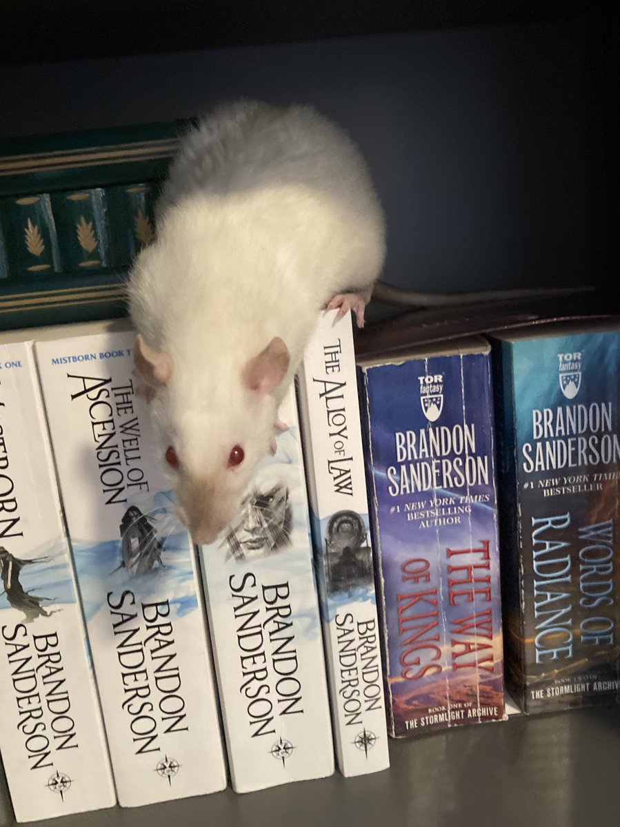 IsaRatties's tweet image. She’s well-rat
