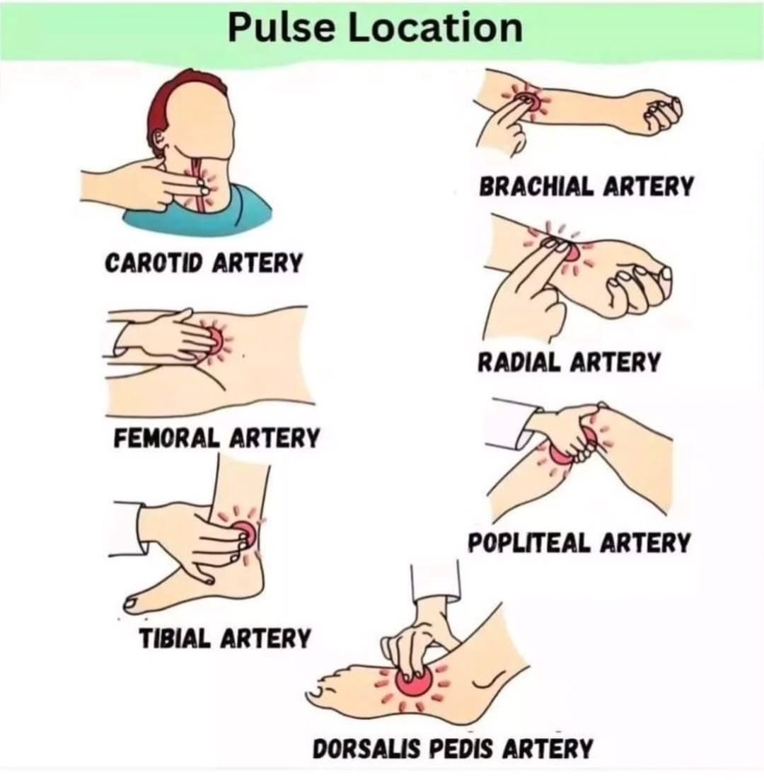 Doctors__squad's tweet photo. Pulse Location https://t.co/dAYdcNpHEB
