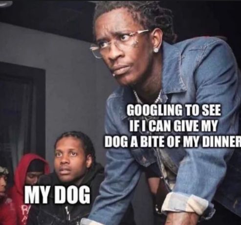 WholesomeMemes (@wholesomememe) on Twitter photo 