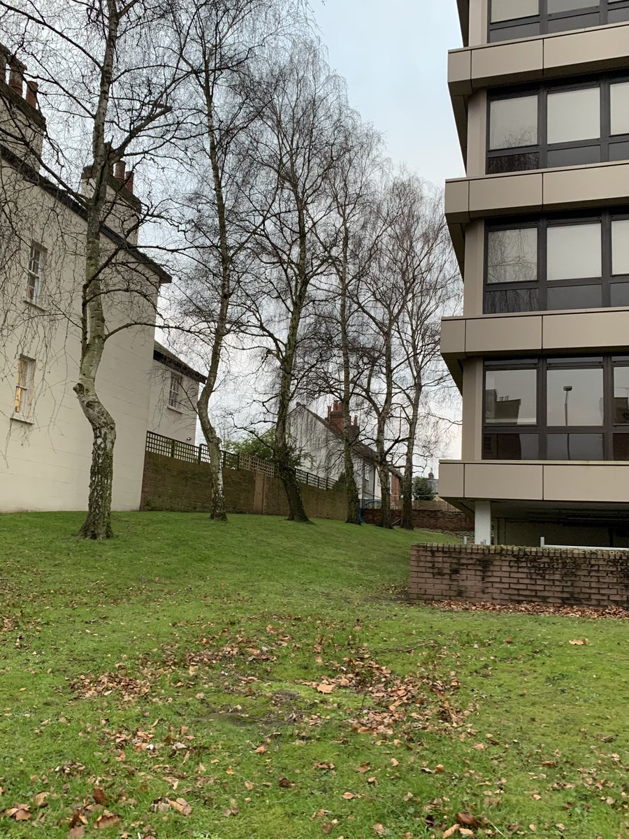 Reading Conservation Area Advisory Committee tweet media