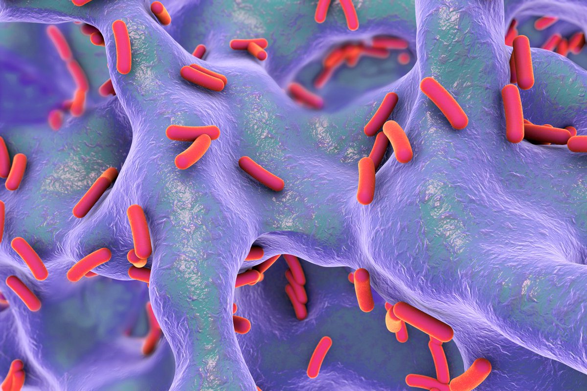 Department of Biochemistry at Oxford University (@biochemoxford) on Twitter photo A spinout company built on 20 years of collaborative research at the <a href="/UniofOxford/">University of Oxford</a> and <a href="/UofGlasgow/">University of Glasgow</a> has been awarded a 500k grant to target antimicrobial-resistant lung infections in people with cystic fibrosis (CF). bit.ly/202501-kleanth…
<a href="/CFAMRSyndicate/">CF AMR Syndicate</a> A spinout company built on 20 years of collaborative research at the <a href="/UniofOxford/">University of Oxford</a> and <a href="/UofGlasgow/">University of Glasgow</a> has been awarded a 500k grant to target antimicrobial-resistant lung infections in people with cystic fibrosis (CF). bit.ly/202501-kleanth…
<a href="/CFAMRSyndicate/">CF AMR Syndicate</a>