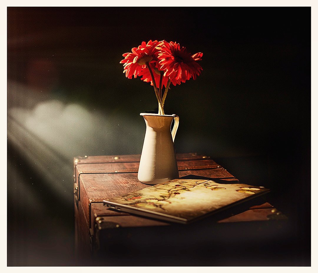 irish_this's tweet photo. Let light in darkness 

#Flowers #Gerbera #RedFlowers #StillLife #FloralPhotography #FlowerVase #NaturePhotography #PhotographyLovers #LightAndShadow #ArtisticPhotography #HomeDecor #FlowerPower #Aesthetic #Flowerstagram #InstaFlowers https://t.co/3KWHtz1VmC