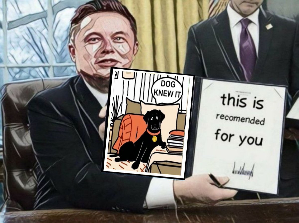My entry <a href="/dogknewit/">Dog Knew It</a> 
$DKI #DogeKnewlt #Memes #DKI