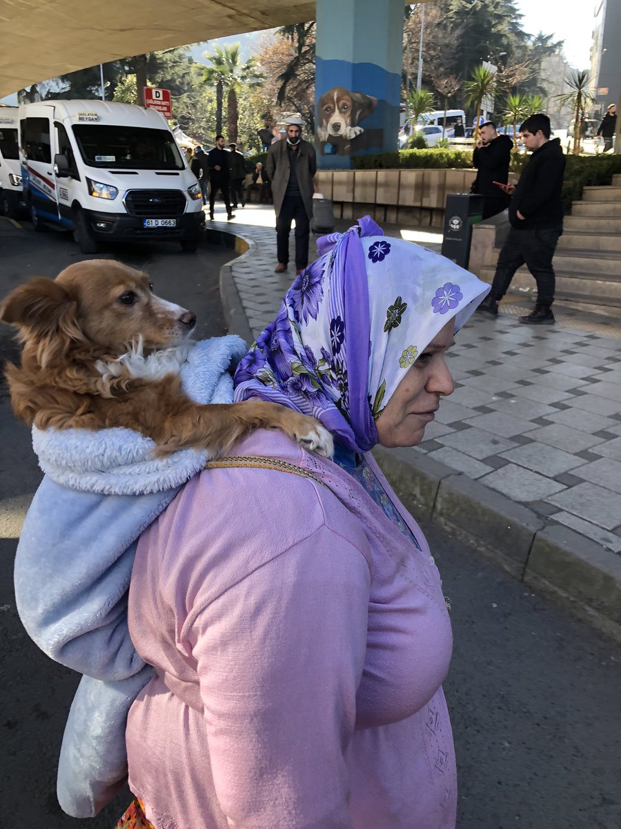 osmansisko's tweet photo. Trabzon’da sıradan bir gün “Kugulli gezmelerde” Foto:@osmansisko https://t.co/cYQicFysby