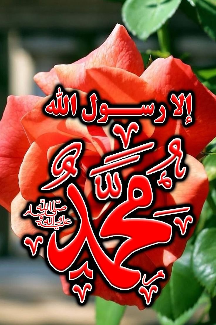 Fatio_2's tweet photo. كان رسول الله أثقل الناس هما لكنه، كان؟ أكثرا تبسما فصلوا عليه
 اللـබـــــــــρّ ❄🎀
صل وَسَلمْ وَبَارِك عَلَى❄🎀
 حَبِيبِنَا وَسَيِّدَنَا وَنبِينا ﷺ❄🎀
 محمد وَعَلى آلِهِ وَصحْبِهِ ﷺ❄🎀
 وٌسَِلَّمًْ تسلَِيَمآ کثًِيَر. ﷺ🎀❄
عٌڊڊ ځلُقٌڪ وُرضآ نْفڛه وُڒٍنْة عٌرشُڪﷺ❄🎀 https://t.co/P0wIkvhxJV