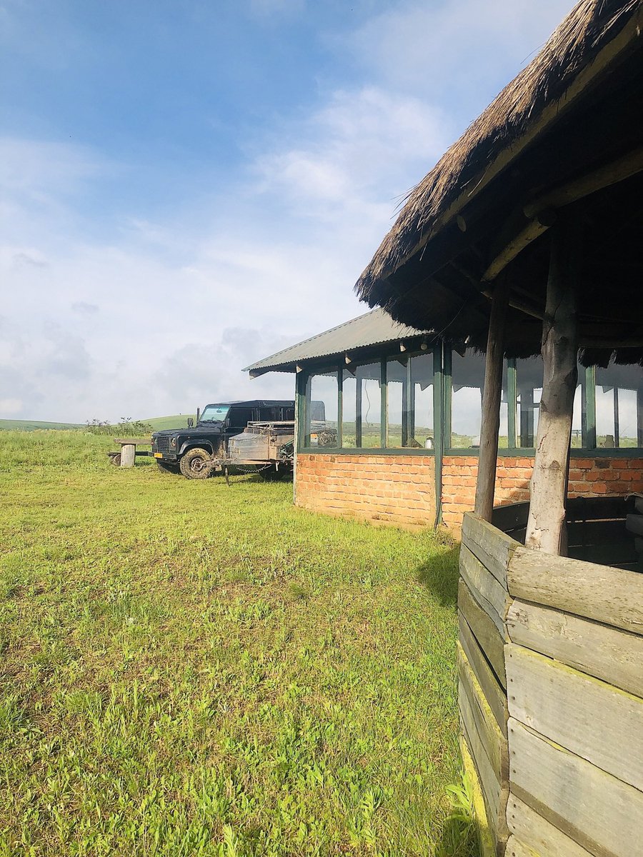 Lush Green at Kimani Campsite (Mpanga Kipengere) &amp; Kitulo, perfect timing for an out of town camping and campfire. Travel with us for a best way to do camping in these wilderness of Mbeya &amp; Njombe.