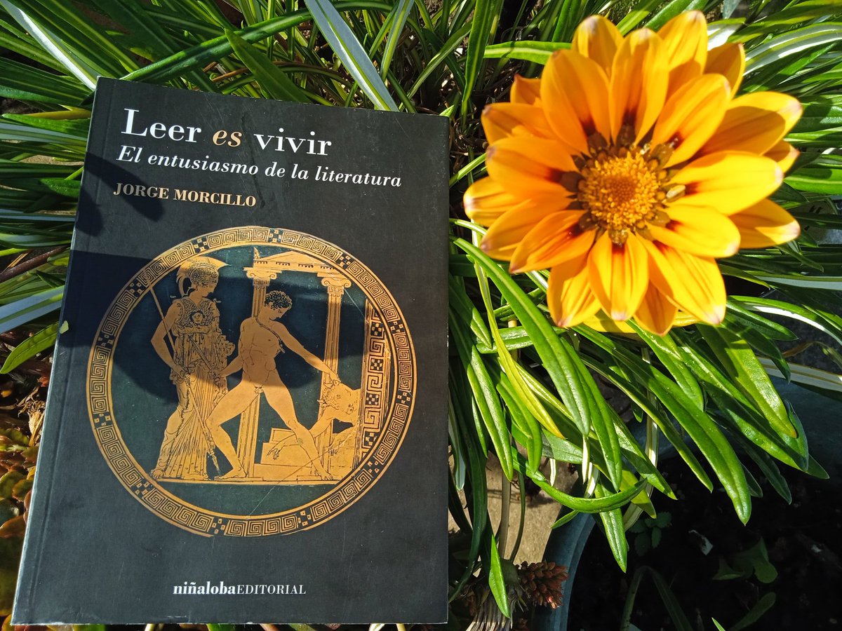 Cálamo (@delendaestroma) on Twitter photo En la librería <a href="/Roleon_ES/">Roleón 🦁 📚 🎲</a> de Cádiz (María Auxiliador 6, cerquita de Los Balbos) pueden encontrarse muchos libros de <a href="/NinaLobaEdit/">niñaloba editorial</a> , y durante esta semana llegarán más (incluidos los cuatro de un servidor con esta editorial). 😇📖 En la librería <a href="/Roleon_ES/">Roleón 🦁 📚 🎲</a> de Cádiz (María Auxiliador 6, cerquita de Los Balbos) pueden encontrarse muchos libros de <a href="/NinaLobaEdit/">niñaloba editorial</a> , y durante esta semana llegarán más (incluidos los cuatro de un servidor con esta editorial). 😇📖
