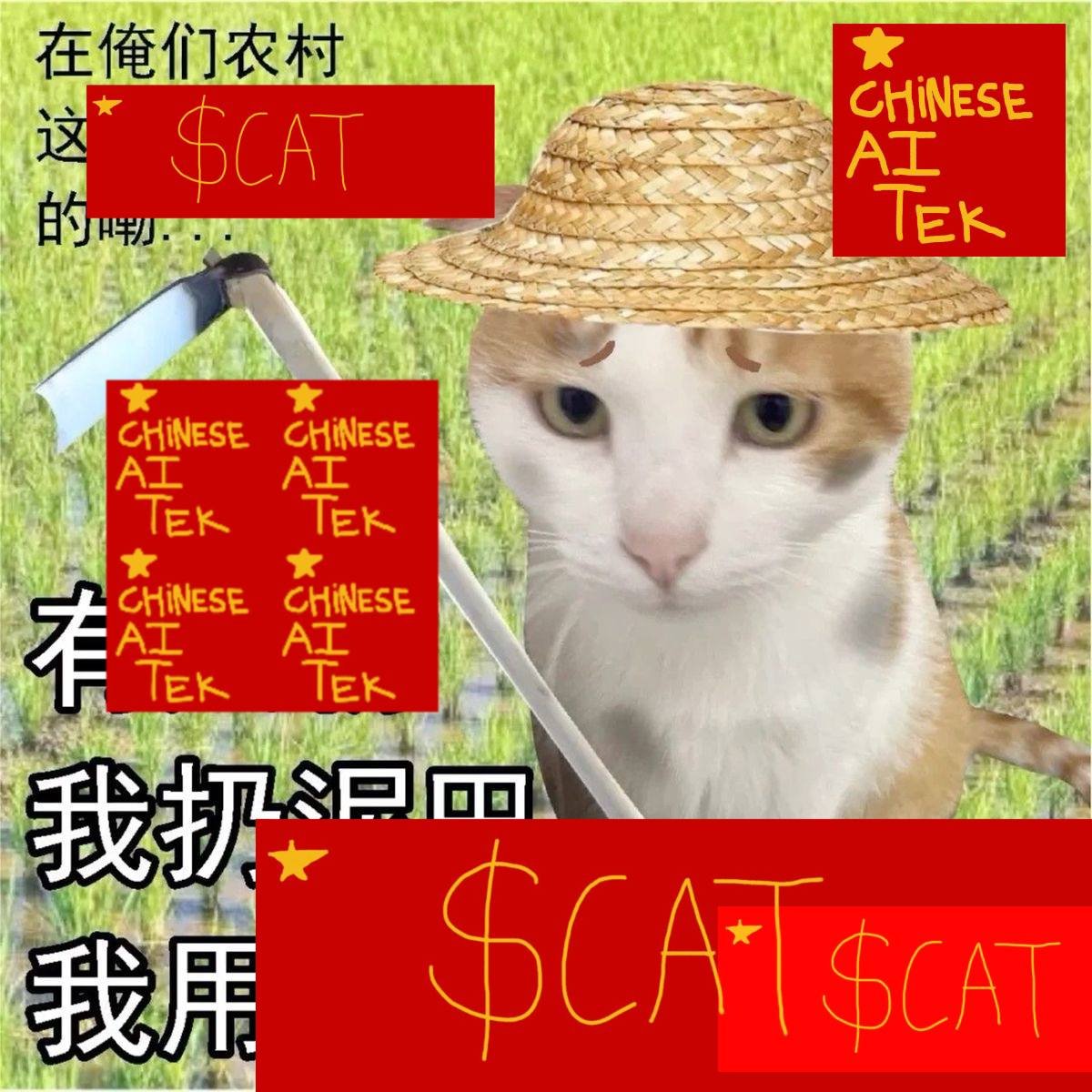 is it a $cat or is it chinese ai tek?