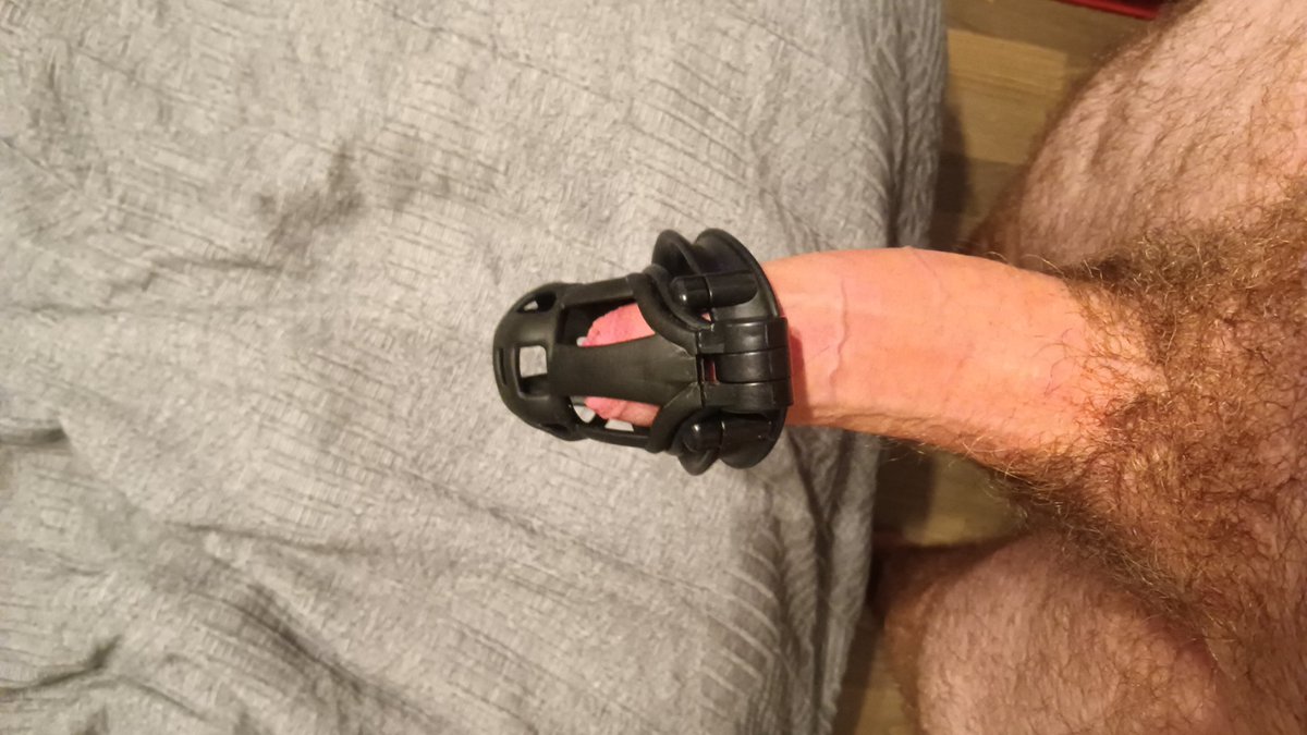 Danny-Boi🐺 tweet media