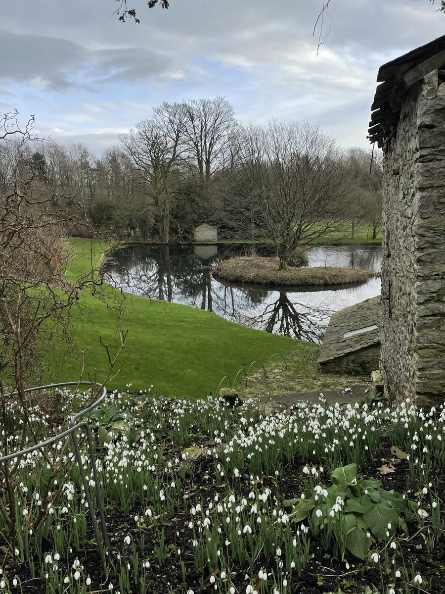 February at #Sizergh
🥾 Explore the estate, from ancient woodland to historic parkland
🌳 Sizergh's Tree 'Top Trumps' Trail takes you out along the Holeslack accessible trail
🌱In the garden, spot snowdrops or the curious shapes of the acers
bit.ly/4gHnq8X