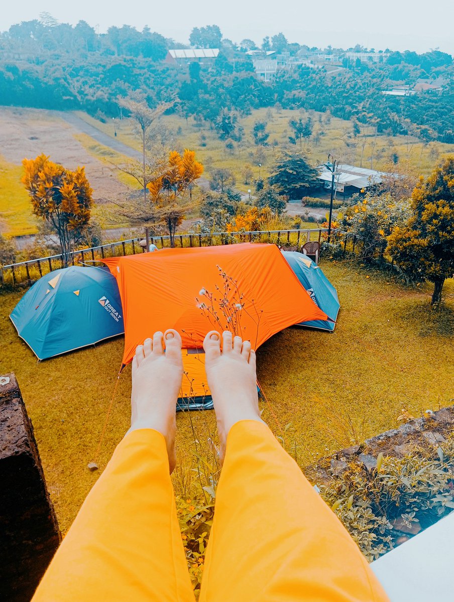 indnova1's tweet photo. ⛅🍃 https://t.co/YGtjkJRkYJ