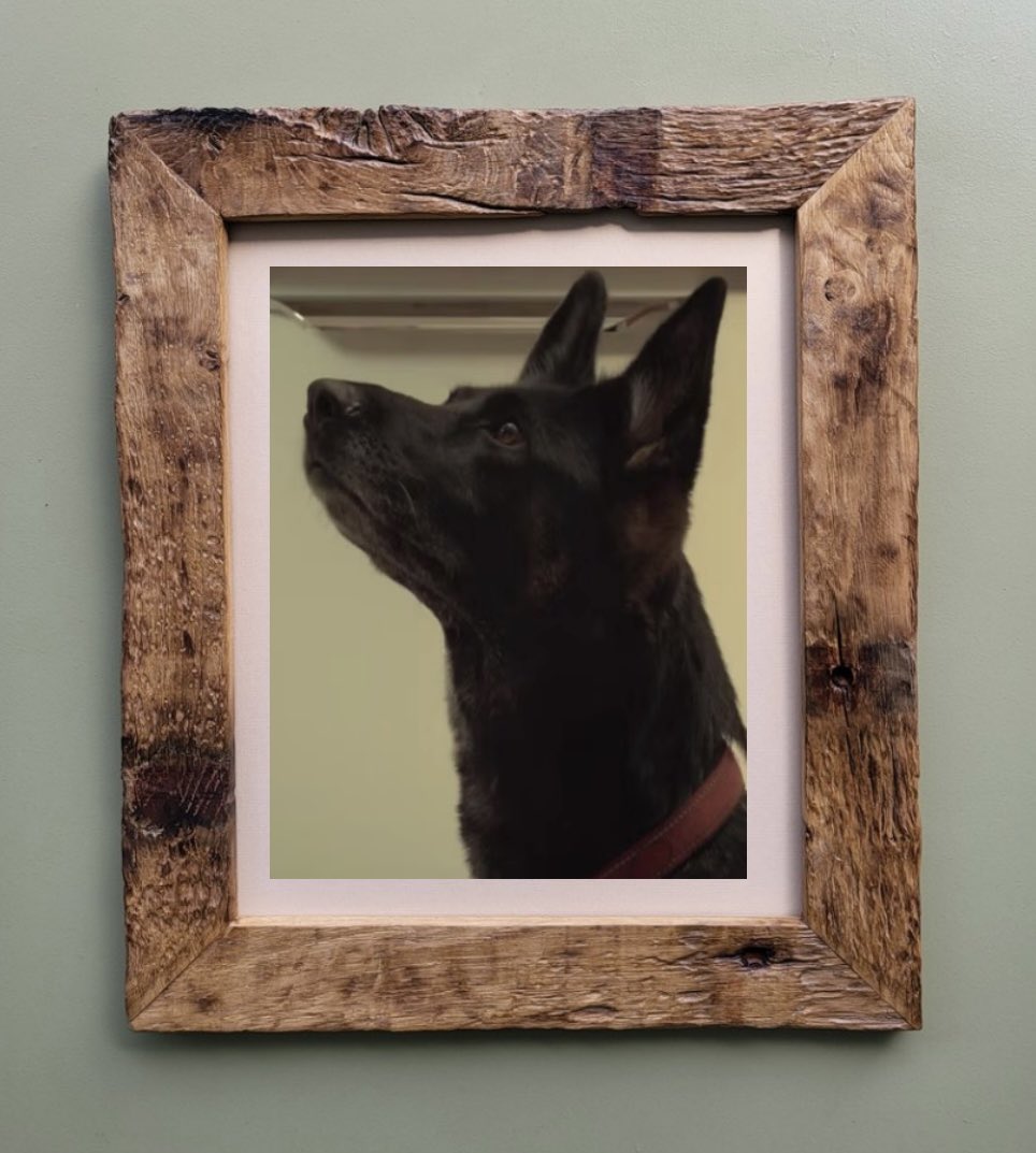 truebritgbr's tweet image. For Anti. The goodest girl there was.
#AfterLife