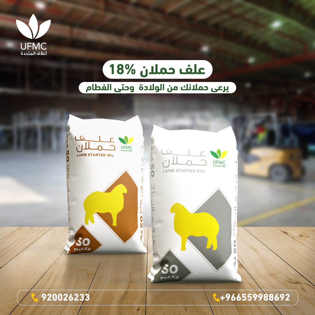 UFMCsa's tweet photo. يقدم #علف_حملان 18% من الشركة المتحدة لصناعة الأعلاف دعم متكامل لحملانك منذ الولادة وحتى الفطام🐑🍼

#تغذية_متكاملة https://t.co/l871YFkp7j