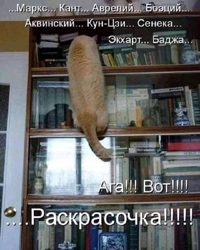 hellaversefc's tweet photo. Блитц ищет гримуар Столаса в его шкафах

#HelluvaBoss #Stolitz #ЗФБ25 https://t.co/u8qZr6k1vo