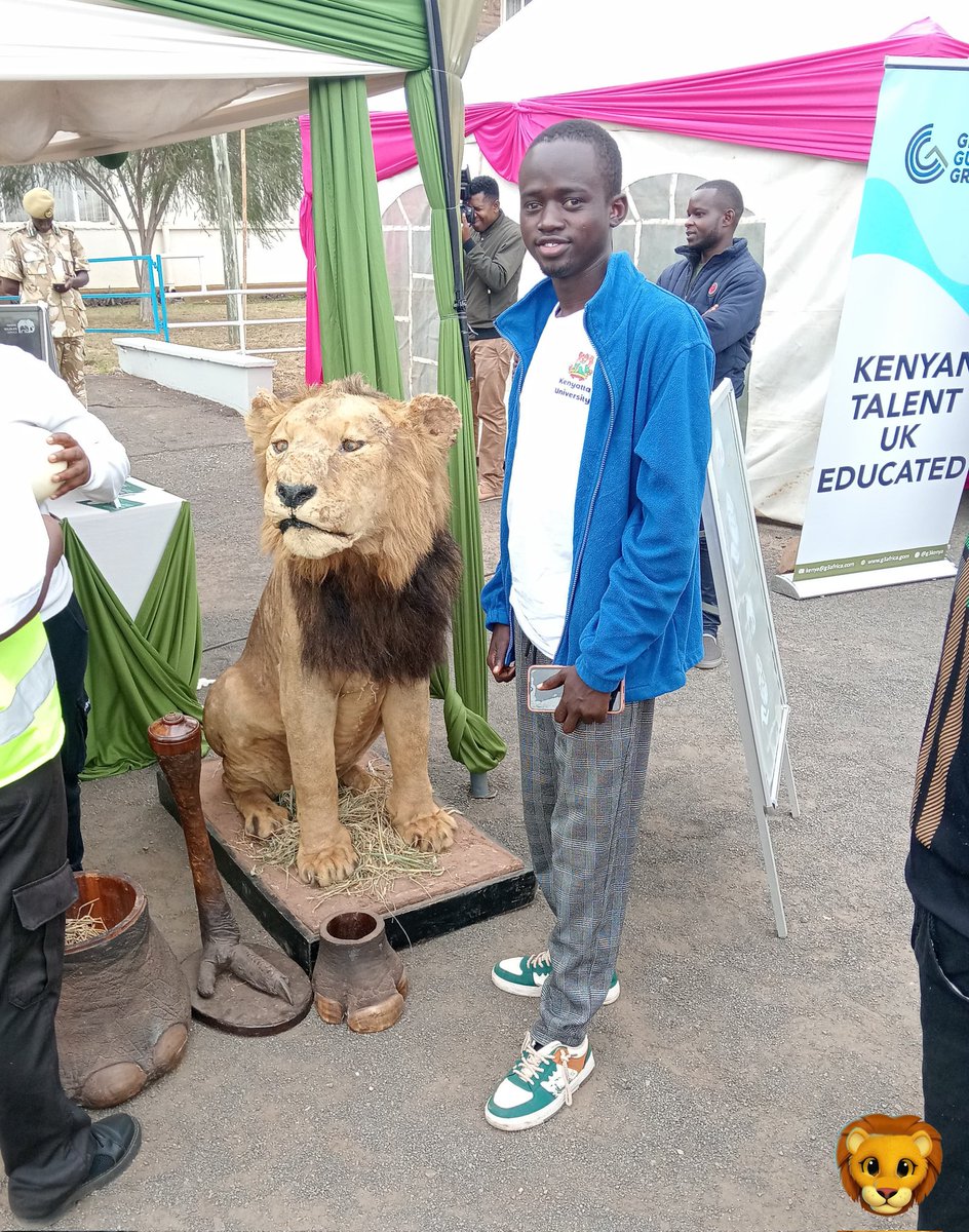 Kelly Wise tweet media