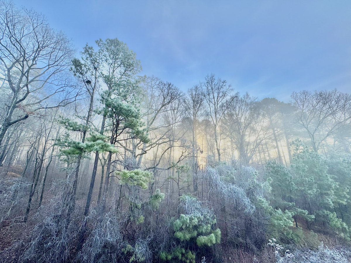 YOUNGTY's tweet image. Captured both of these this morning in Trussville.   26 degrees and frozen fog @WBRCnews @WBRCweather @weswyattweather @megtomwx @LaurenLinahan @mattdanielwx @toniatalkss @MikeDubberlyGDA @NWSBirmingham