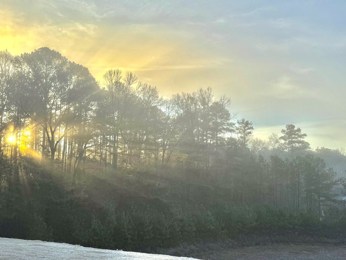 YOUNGTY's tweet image. Captured both of these this morning in Trussville.   26 degrees and frozen fog @WBRCnews @WBRCweather @weswyattweather @megtomwx @LaurenLinahan @mattdanielwx @toniatalkss @MikeDubberlyGDA @NWSBirmingham