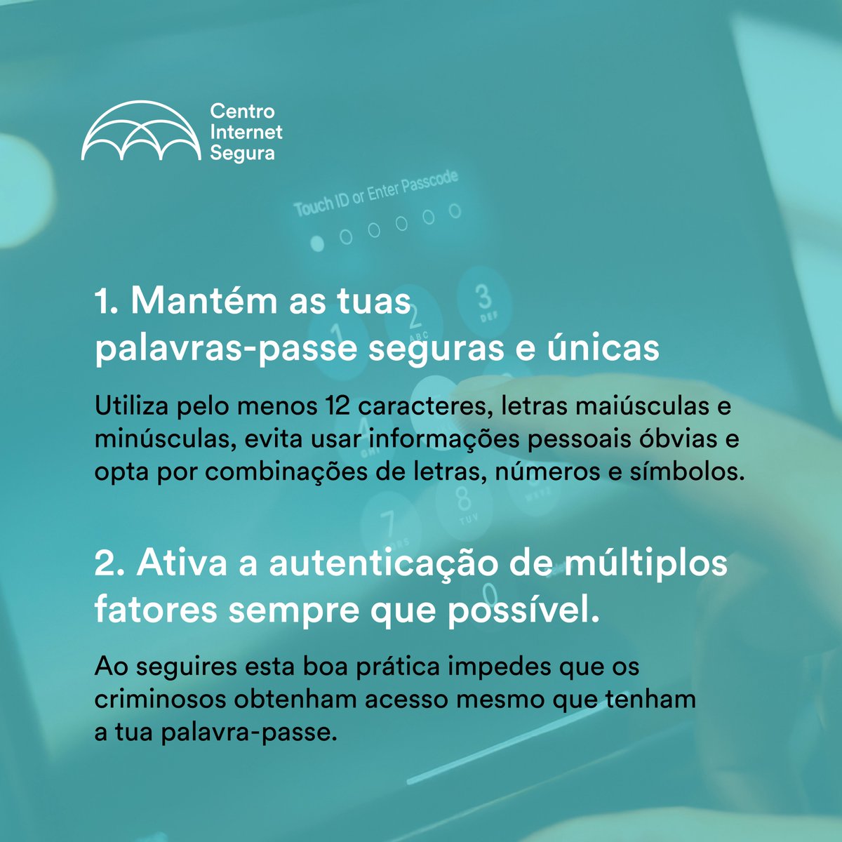 Internet Segura tweet media