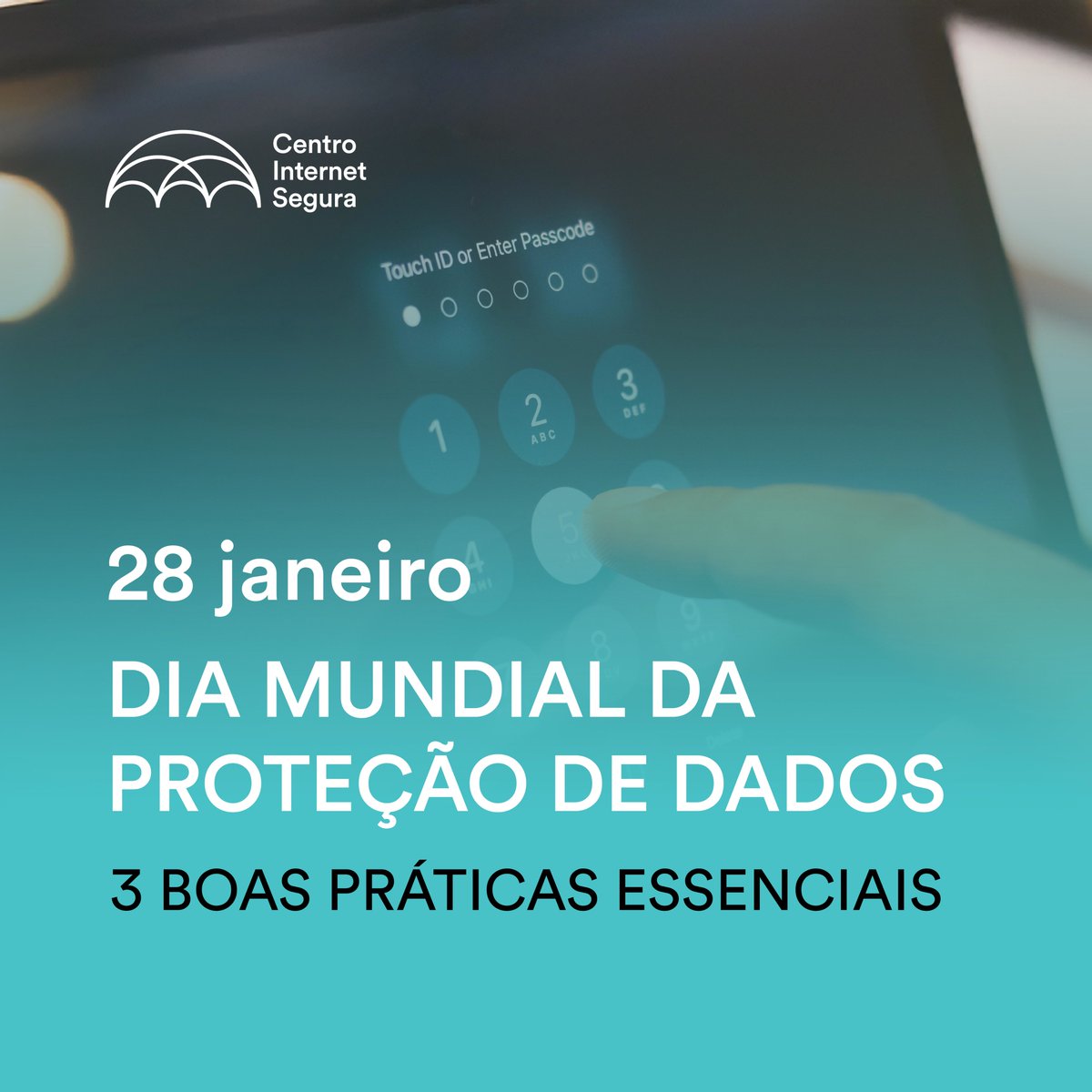 Internet Segura tweet media