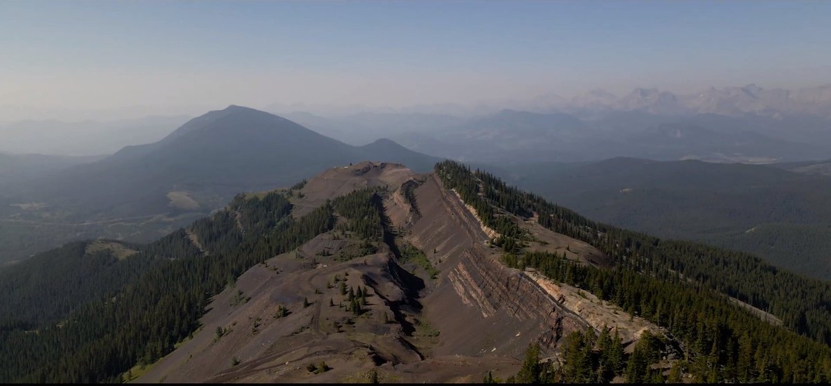 🆕A report by 5 former Fish&amp;Wildlife biologists found that no part of the Eastern Slopes can safely, effectively &amp; environmentally accommodate coal mining.

The 2021 report for the Coal Policy Committee  was largely inaccessible. Now it's on our website:
tinyurl.com/mv3pk7db