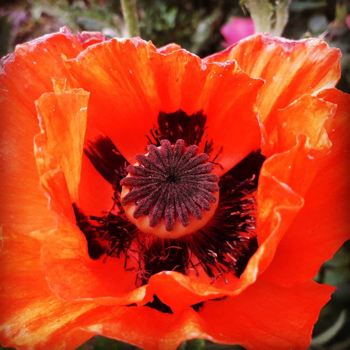 Der Valentinstag (14. Februar) gilt als Tag der Liebenden

blumen-lieferdienste.de/anlass/valenti…

blumen-lieferdienste.de