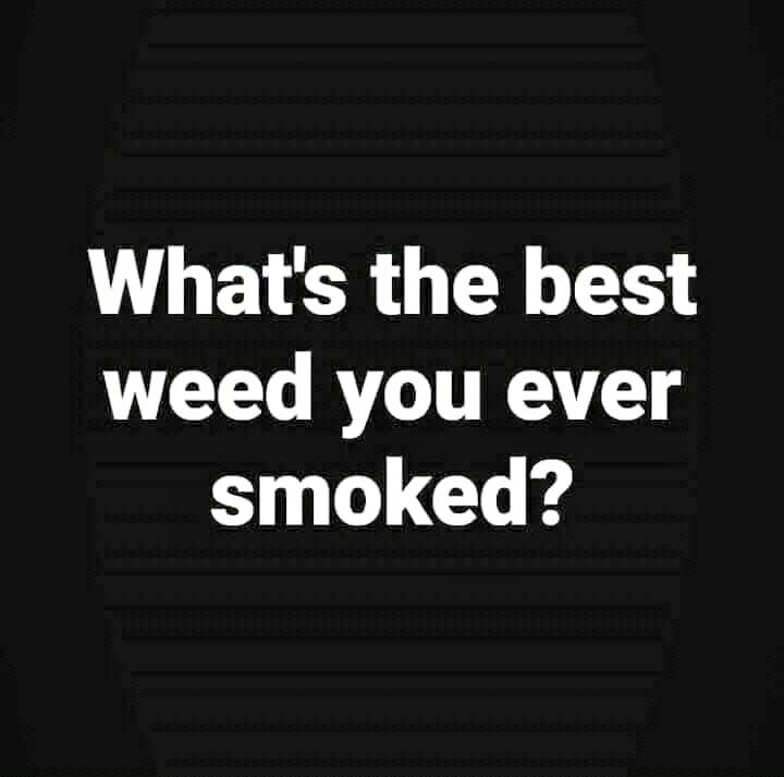 iFlyHigh™ 🎄 tweet media