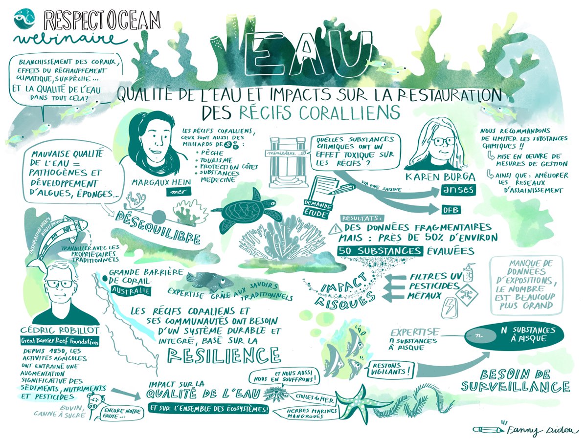 💧🌊 Les récifs coralliens, essentiels à la vie marine, sont menacés. La qualité de l’eau, souvent négligée, est déterminante pour leur préservation.

🎥 Replay et synthèse du webinaire RespectOcean-<a href="/Ifrecor/">IFRECOR</a>  : urlr.me/gvHkRa
#Coraux #Océan
