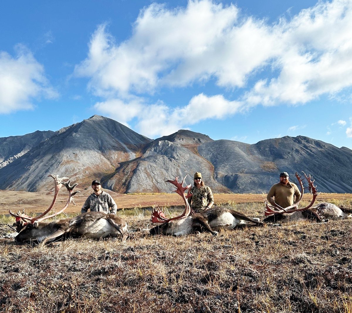 thekineticgrp's tweet photo. Next up in our Ammo Maker Series: Garett Stoddard, a self-proclaimed ‘bullet nerd’ who took Speer ’s Impact bullet from the lab to the land, filling a caribou tag on a "dream trip” to Alaska’s Arctic Region.
https://t.co/FseBwlnQtv https://t.co/X1XfGbOGeG