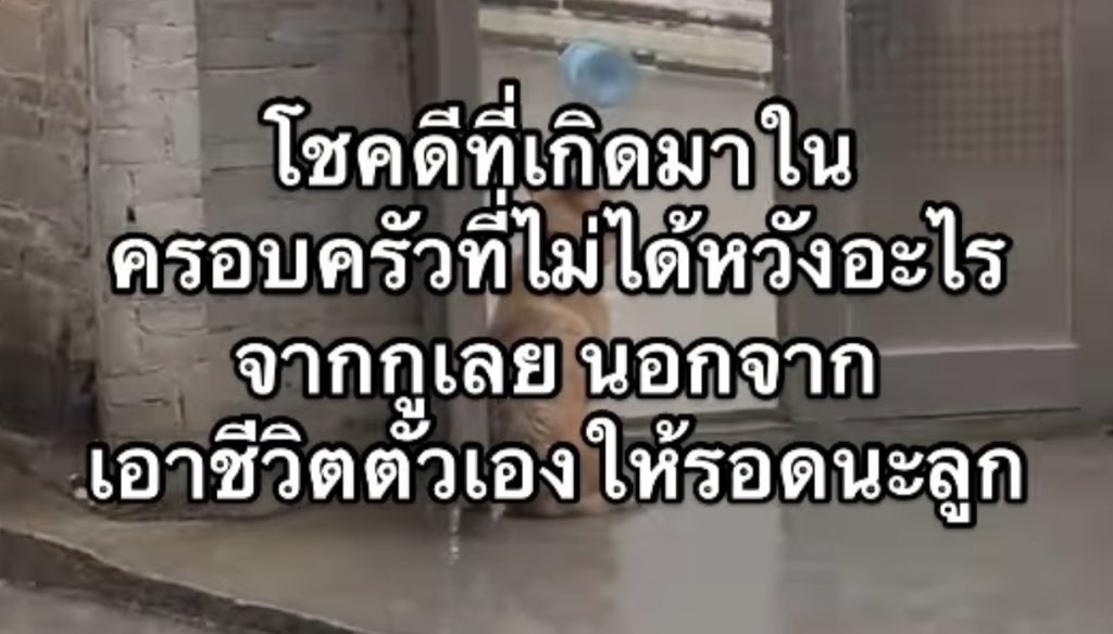 จริง 555555555555555555