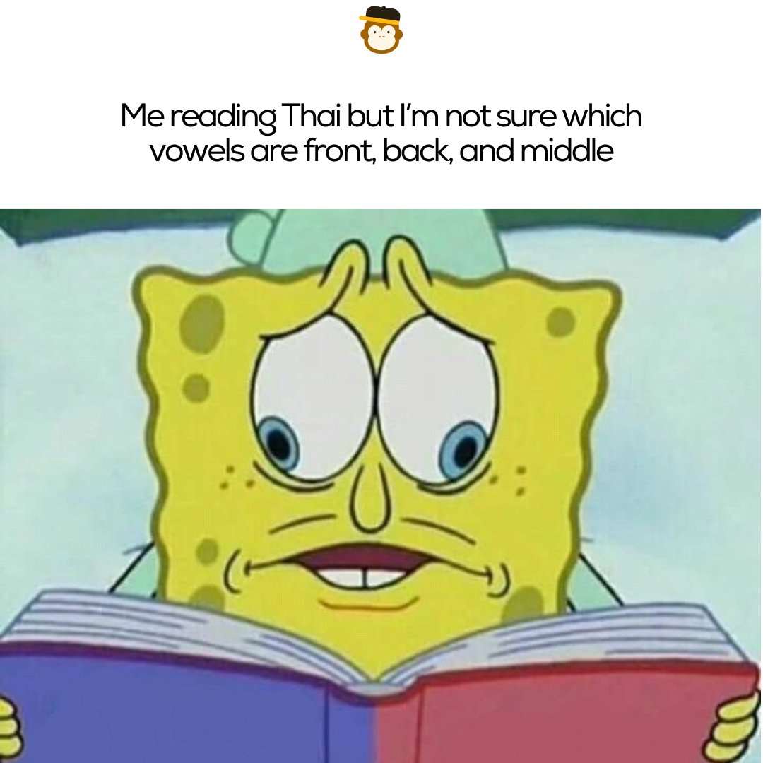 Ling Learn Languages tweet media