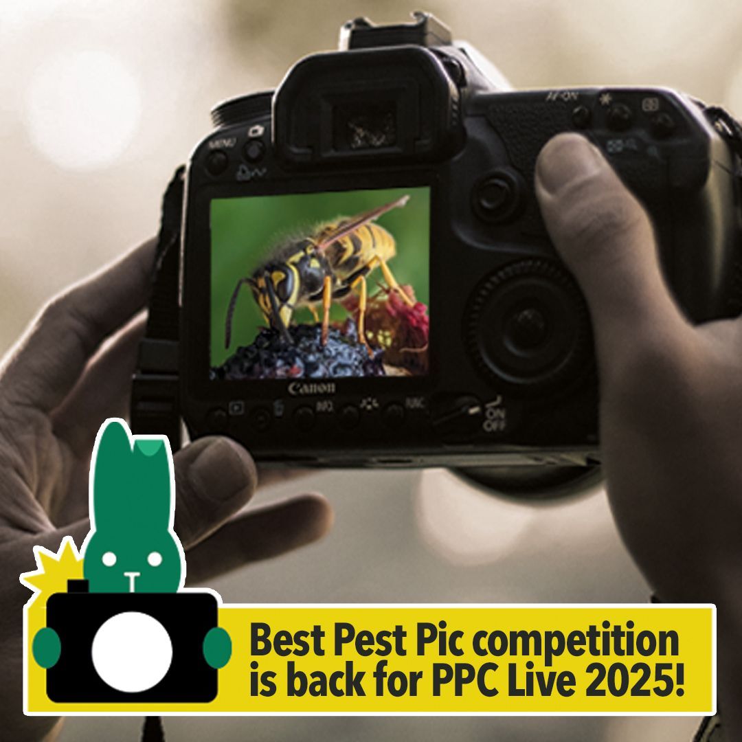 britpestcontrol's tweet photo. 20 days left to enter our Best Pest Pic competition! Send in your photos for a chance to win big 🤑 don't miss out!

Info: https://t.co/I1WzF8qQuX 

#PestControl #Photography #Competition #PPCLive https://t.co/MhYUE8Mjlv