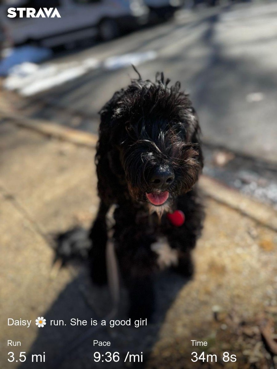 I started running and walking dogs. If you are in Arlington and are looking for dog walker/runner let me know. $30/30 mins or so. Thx.