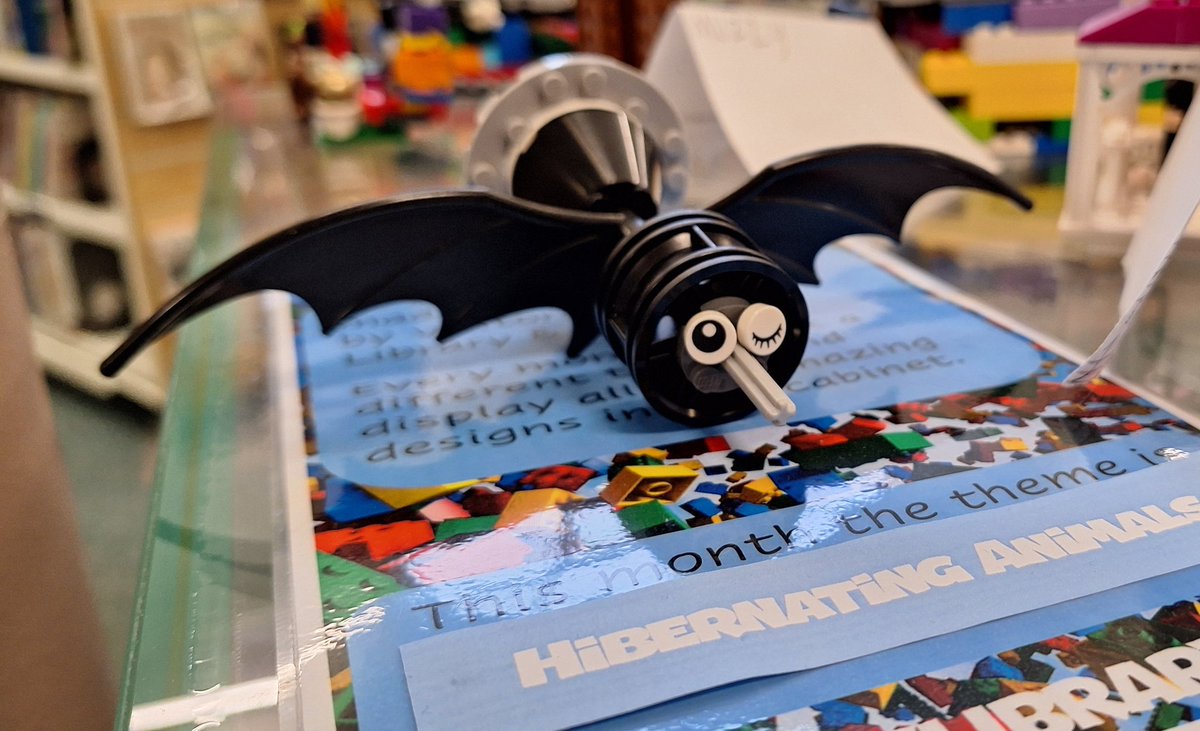 OrkneyLibrary's tweet image. Today is #InternationalLegoDay and our #OrkneyLibraryLego display case is full of sleepy creatures for our 'Hibernating Animals' theme this month! 🦇🐻🐻‍❄🦔

These have all made by our customers using our #Lego collection. ❤️