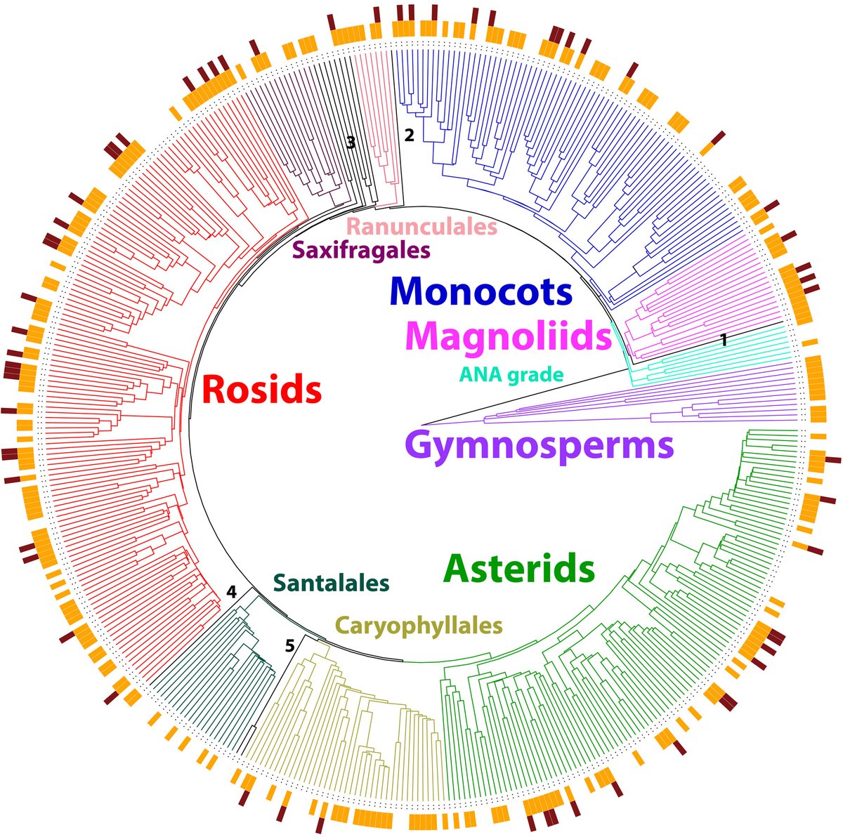 #PlantsandPolicy We are glad to highlight that Ulian et al. (doi.org/10.1002/ppp3.1…) has been cited in a policy report 'Forests, trees and wild species in agrifood systems – Optimizing benefits for biodiversity, climate and health' by <a href="/FAO/">Food and Agriculture Organization</a>. Link below 👇

ow.ly/QXVI50UOC8S