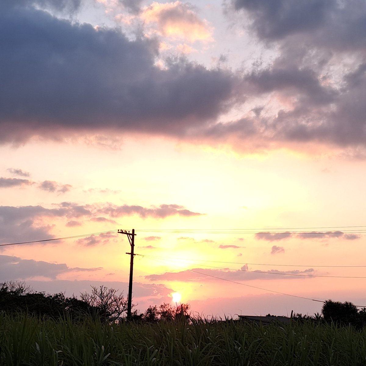 noha0705's tweet photo. 平野紫耀君お誕生日おめでとうございます。この世に産まれてきて今一緒の時を過ごすことができて私の人生に彩りを与えてくれてありがとう。これからも素敵な景色見せてくださいね。南の島石垣より
#平野紫耀誕生祭2025 
#Number_i 
#GOT_i https://t.co/HmxYLJI1yn