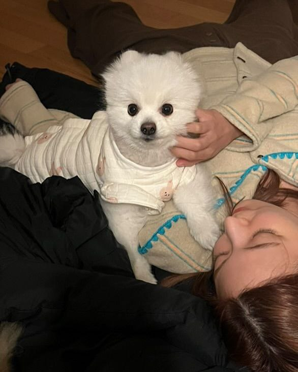 Oulia's tweet image. boo—