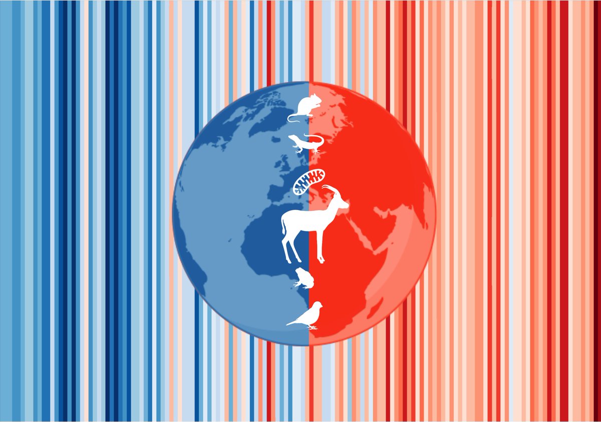 Journal of Thermal Biology (@j_therm_biol) on Twitter photo EDITORIAL: Thermoregulatory and metabolic adaptations in a changing world
Guest editors: Julia Nowack, <a href="/ke_marshall/">Katie Marshall</a>, Jérémy Terrien, and <a href="/SylvainGiroud/">Sylvain Giroud</a>
doi.org/10.1016/j.jthe…
A big thank you to this special issue's guest editors and authors!
Picture credit: Biorender EDITORIAL: Thermoregulatory and metabolic adaptations in a changing world
Guest editors: Julia Nowack, <a href="/ke_marshall/">Katie Marshall</a>, Jérémy Terrien, and <a href="/SylvainGiroud/">Sylvain Giroud</a>
doi.org/10.1016/j.jthe…
A big thank you to this special issue's guest editors and authors!
Picture credit: Biorender