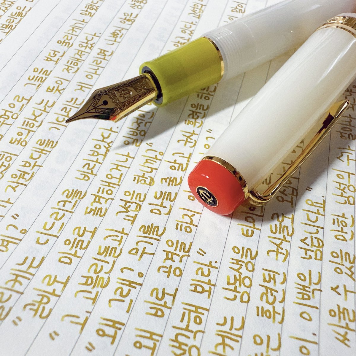 #콩설기쓰다

세일러 프로기어 진 마티니 M x 펜하우스 레몬

햐... 아무리 생각해도 이번 펜입은 찰떡신의 가호가 내린 것 같죠? 최애의 등장이 임박했기에 오늘은 필사 두 장😎