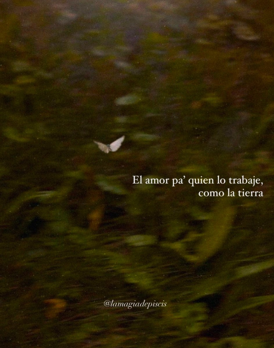 ramé (@escritosrame) on Twitter photo 