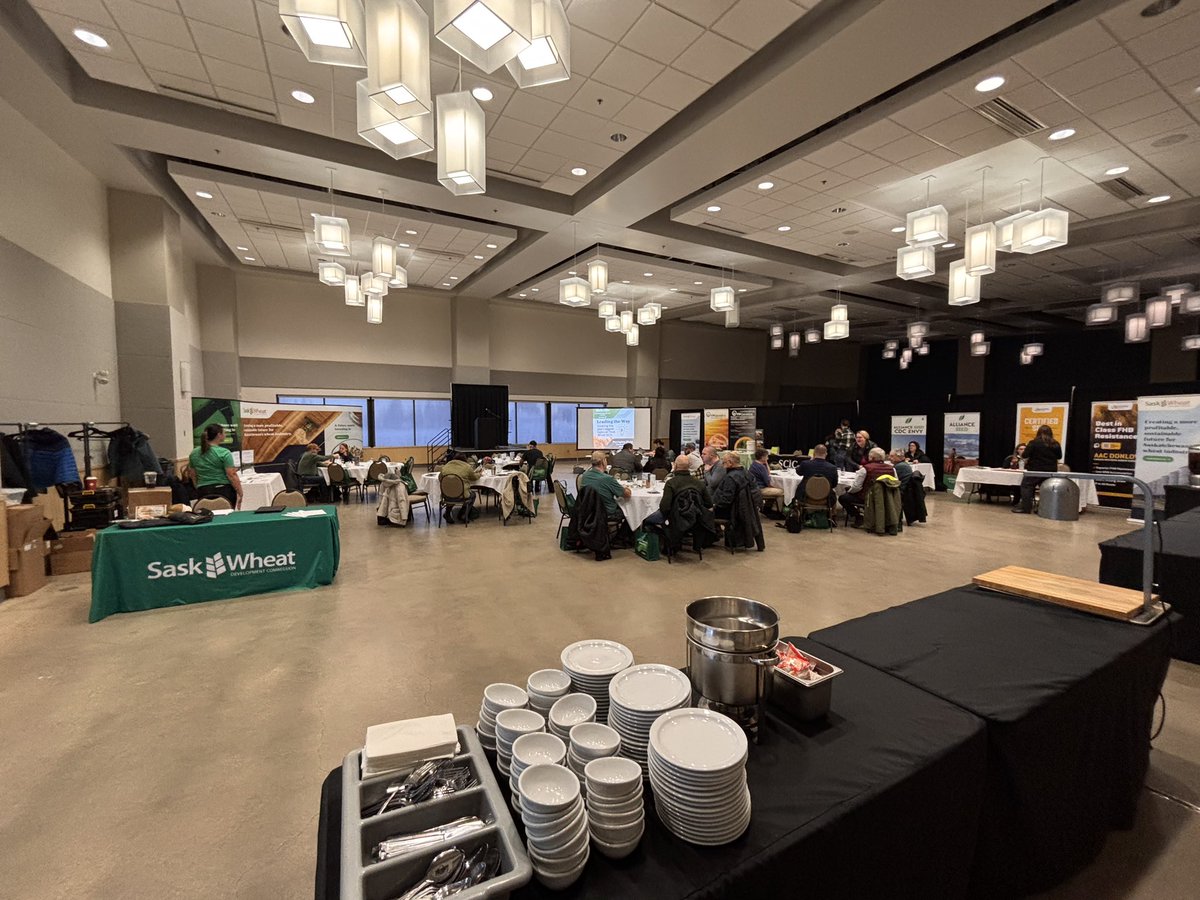 Sask Wheat tweet media