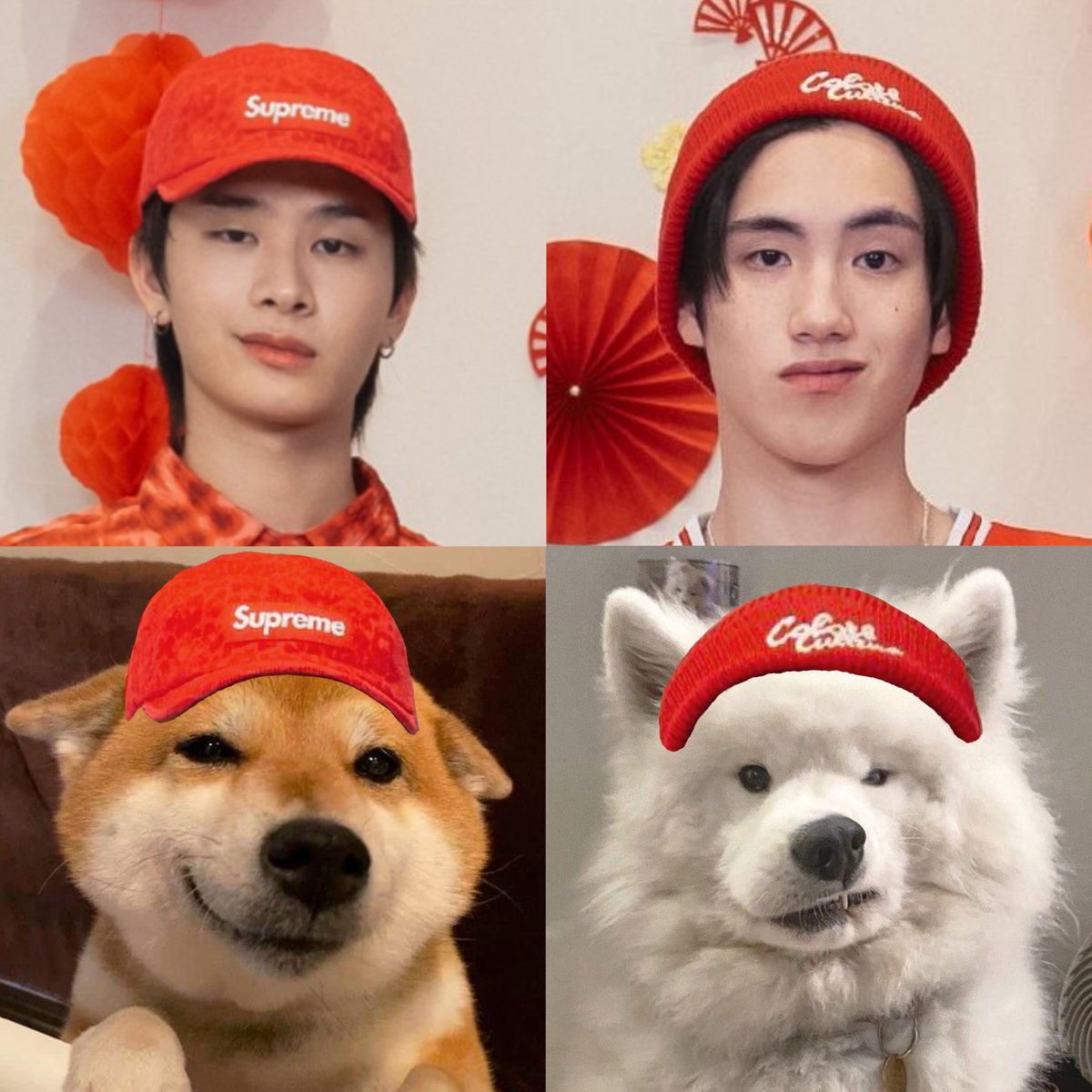 สองคนนี้ใครดื้อที่สุด😼