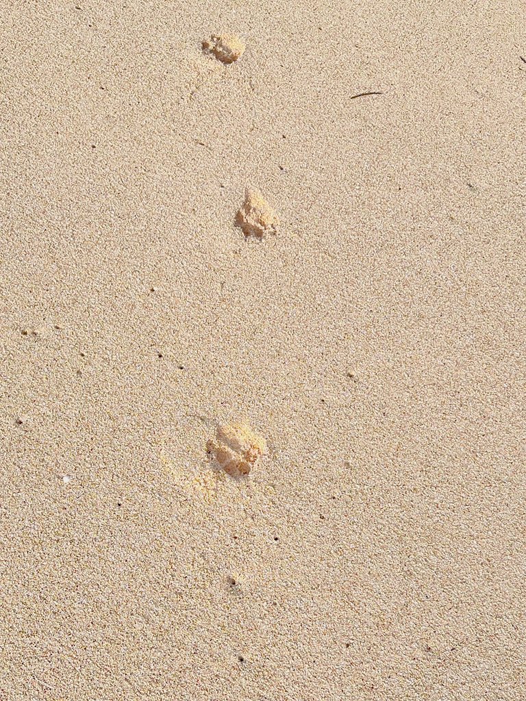 fzndrz's tweet photo. biasanya kalo kamu di pantai ngapain? https://t.co/KvQ7teLYS8