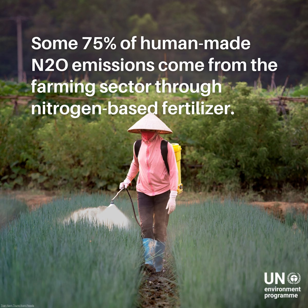 UNEP's tweet photo. A common byproduct of agriculture, nitrous oxide (N2O) has been responsible for around 10% of global warming since the industrial revolution.

Experts are now calling for countries to rein in emissions of this often-overlooked greenhouse gas.

@FAOclimate @CCACoalition
