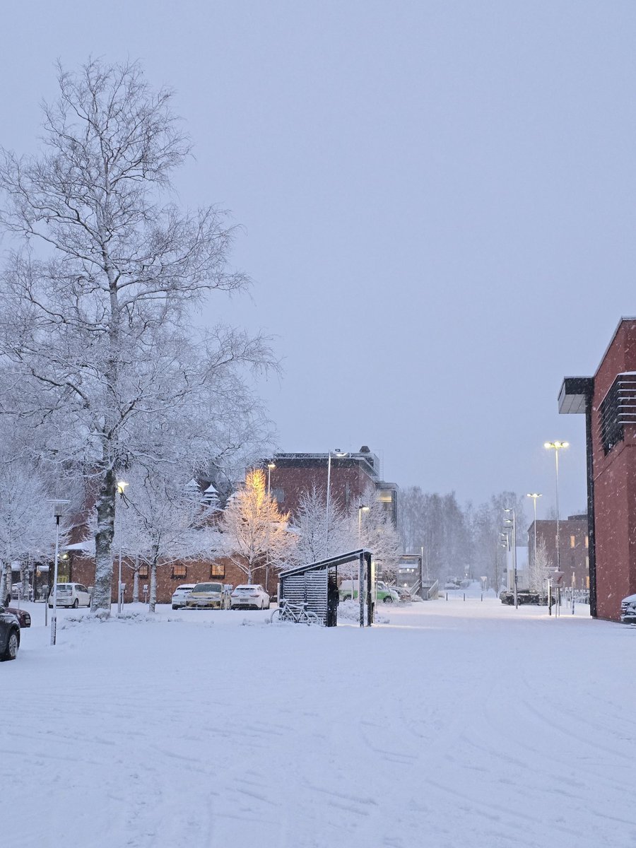 AIlmanen's tweet photo. Aamulla näytti näin talviselta Xamkin kampuksella. #xamk #talvi #mikkeli https://t.co/iSY6C8fA3q