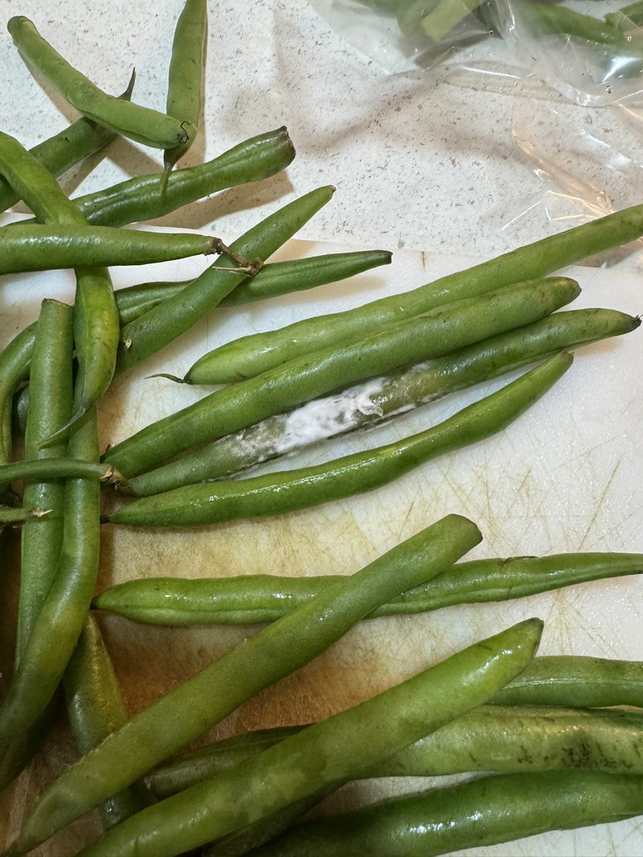 Sharilyn325 tweet media