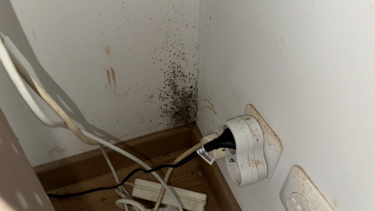 Laureline_Chtrt's tweet photo. Ce matin on aide Sarah dans #CPVA, en direct sur @RTLFrance et @M6. Depuis son emménagement dans sa maison neuve, elle n'a que des problèmes : moisissures, VMC défaillante, fuites dans son compteur... Et le terrassier, comme le constructeur, ne veulent rien savoir ! https://t.co/LulEh44Q37