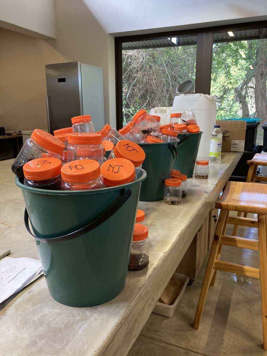 Rion Lerm, PhD tweet media