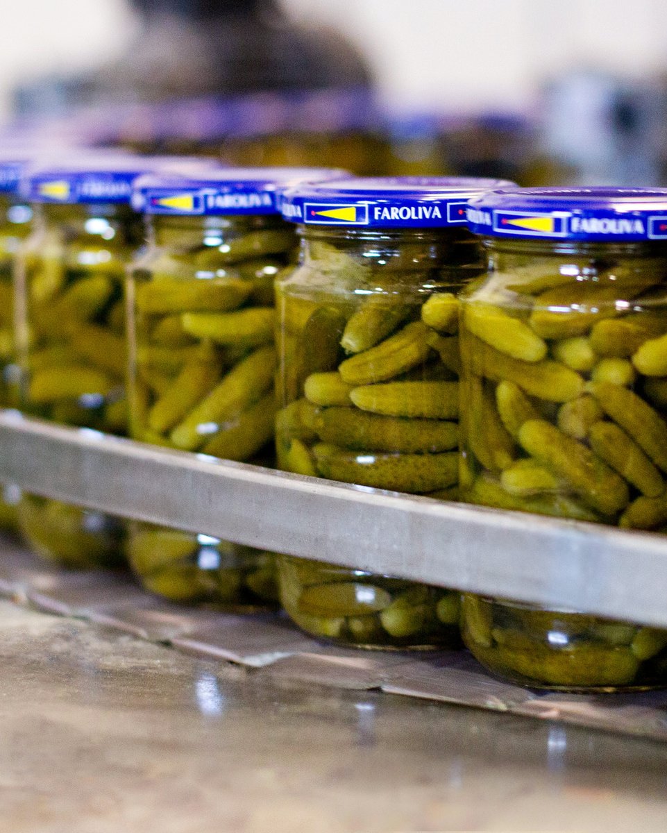 ¿Alguna vez te has preguntado por qué nuestros pepinillos son tan crujientes? 🥒✨ 

Es todo gracias al proceso de encurtido que los mantiene frescos y llenos de sabor. 

¿Eres team pepinillo? 🥒

#pepinillos #pepinillosencurtidos #AceitunasElFaro